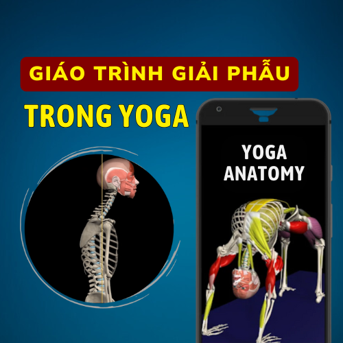 Giáo Trình Giải Phẫu Trong Yoga