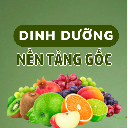 Dinh Dưỡng Nền Tảng Gốc